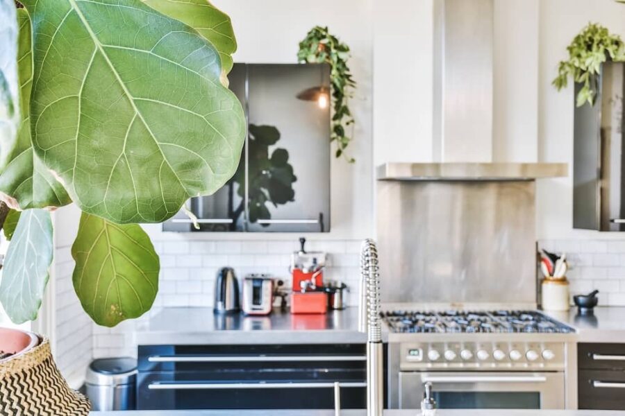 kitchen feng shui