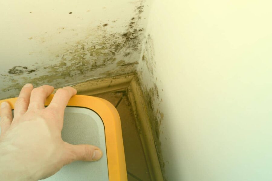 black mold in basement areas