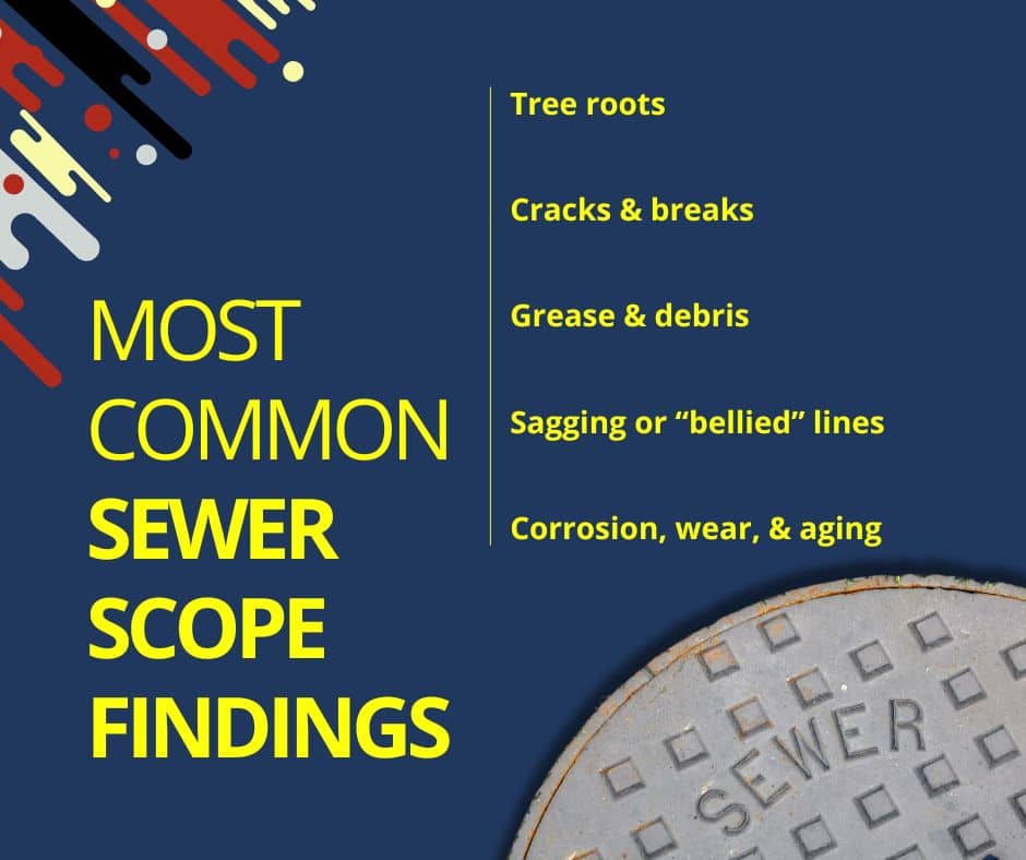 most common sewer scope findings