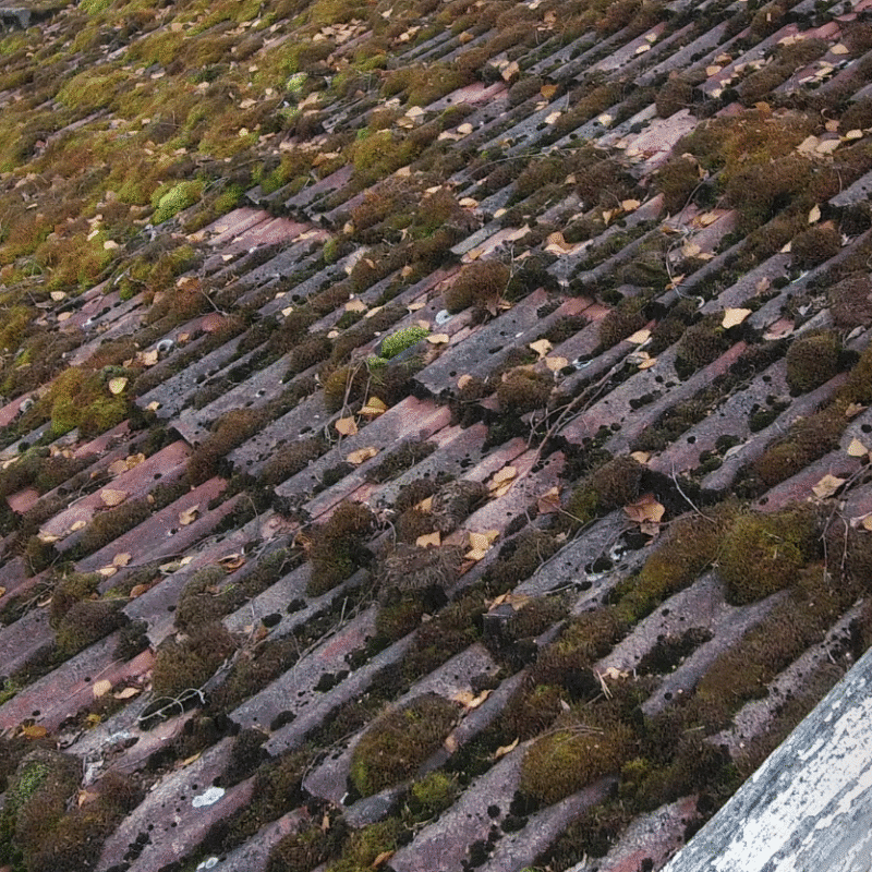 how to remove moss from roof